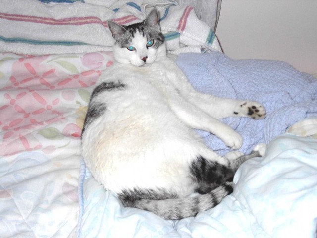 Image 5 of 106  -  64 kB