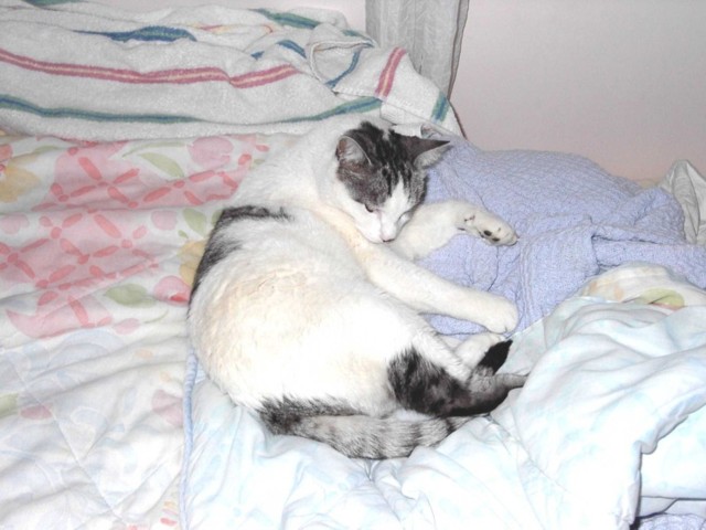 Image 6 of 106  -  64 kB