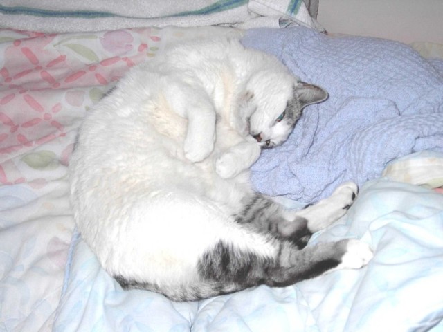 Image 9 of 106  -  61 kB