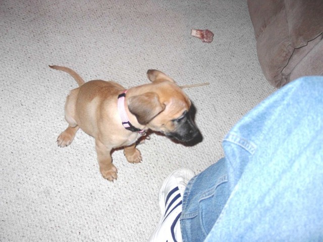 Image 12 of 106  -  82 kB