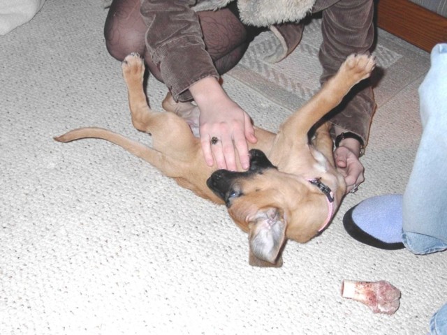 Image 20 of 106  -  84 kB