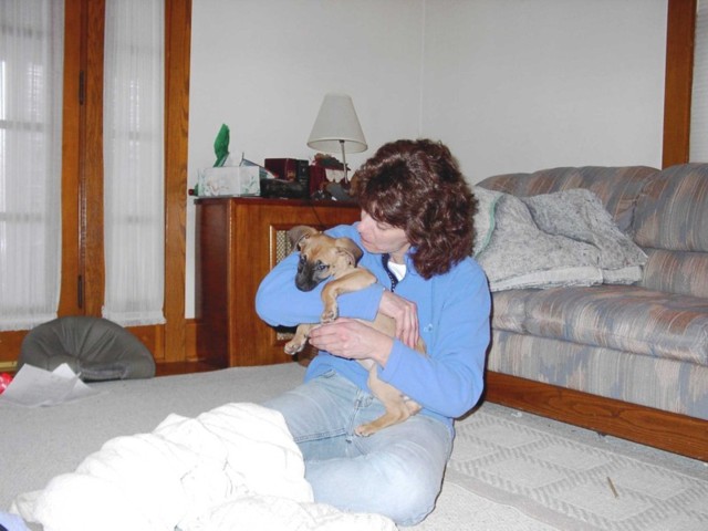 Image 38 of 106  -  62 kB