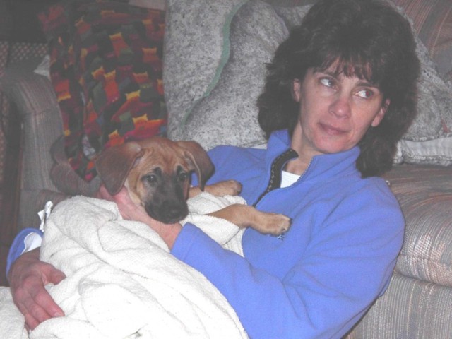 Image 45 of 106  -  63 kB