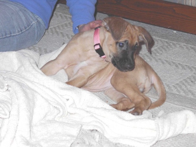 Image 54 of 106  -  62 kB