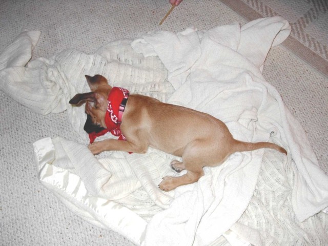 Image 55 of 106  -  75 kB