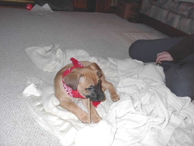 Image 59 of 106  -  64 kB