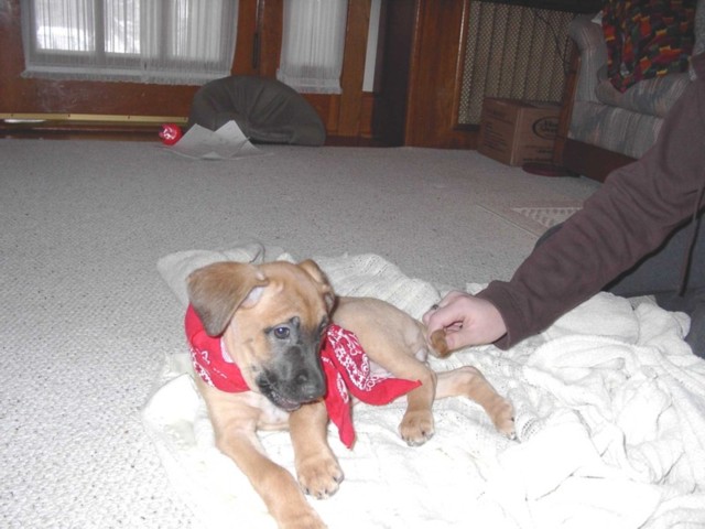 Image 62 of 106  -  66 kB