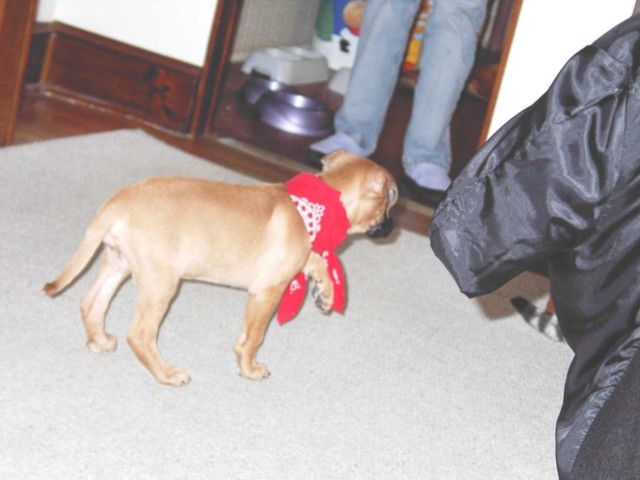 Image 63 of 106  -  59 kB