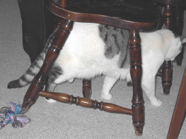 Image 64 of 106  -  70 kB