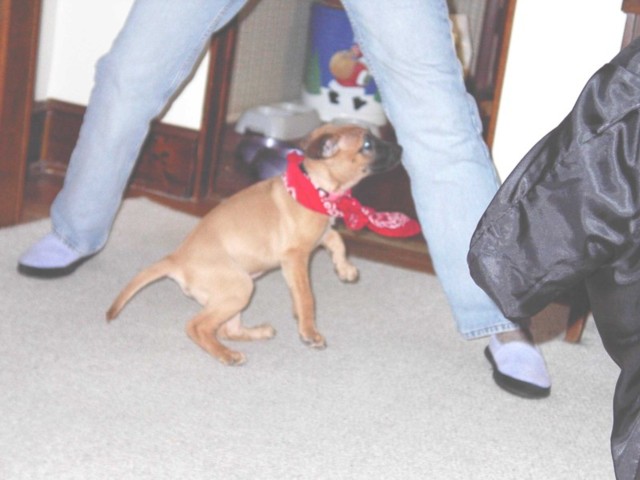 Image 66 of 106  -  55 kB