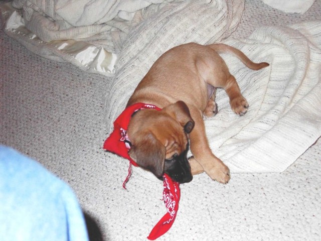 Image 67 of 106  -  84 kB