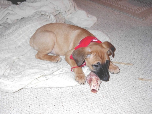 Image 68 of 106  -  77 kB