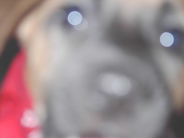 Image 80 of 106  -  28 kB