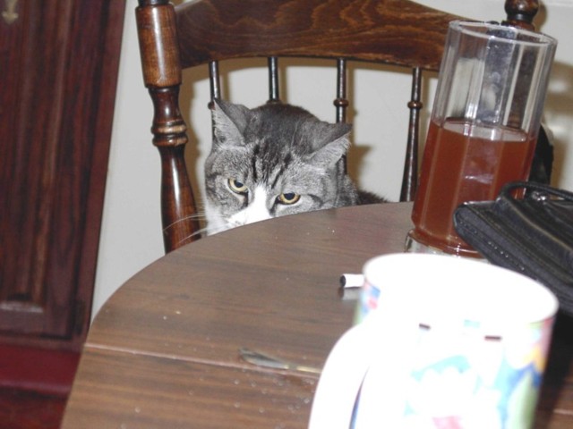 Image 83 of 106  -  57 kB