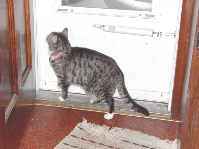 Image 86 of 106  -  65 kB