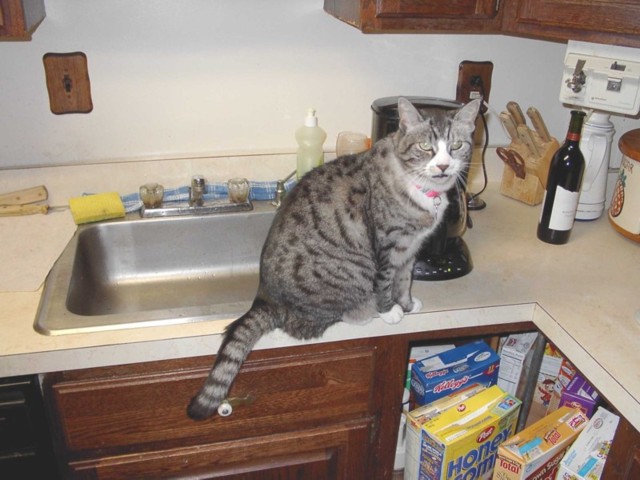 Image 89 of 106  -  73 kB