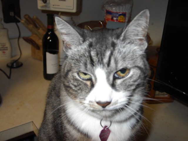 Image 98 of 106  -  53 kB